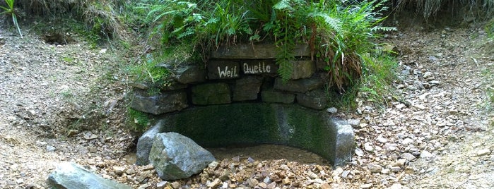 Weilquelle is one of Hotspots Hessen | Berge, Seen & Natur.