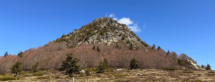 Mont Gerbier De Jonc is one of Culturellement Vôtre !.