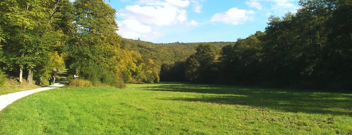 Weiltalweg is one of Hotspots Hessen | Berge, Seen & Natur.