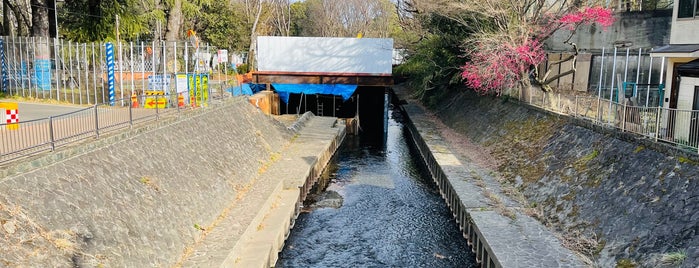 大成橋 is one of 善福寺川に架かる橋.