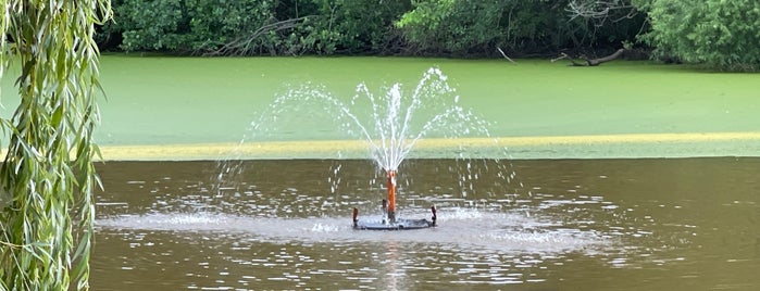 Tranquility Pond is one of Locais curtidos por Nicholas.