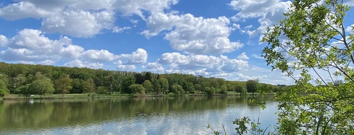 Csónakázó tó is one of futás.