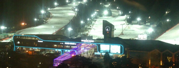 Daemyung Resort is one of ski resorts n recreation.