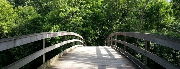Fullersburg Forest Preserve is one of Stacy's Saved Places.