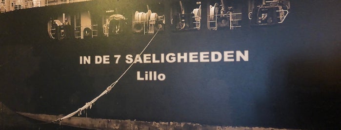 In de 7 Saeligheeden is one of Lillo Pub Crawl.