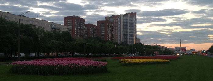 Kultury Avenue is one of Future sites.