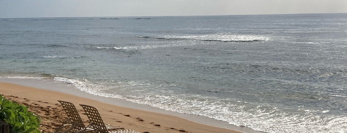 The Beach is one of Locais curtidos por Jane.