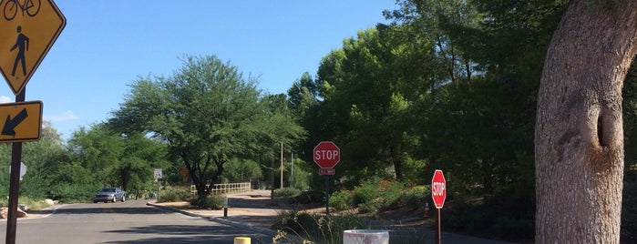 Randolph Park Running Path is one of Tucson Outdoors.