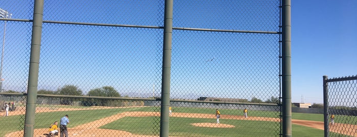 Papago A's Baseball Complex is one of Lugares favoritos de Steve.