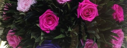 Vermont SPb - неувядающие цветы, подарки, украшение интерьера is one of Магазины Родео Драйв.