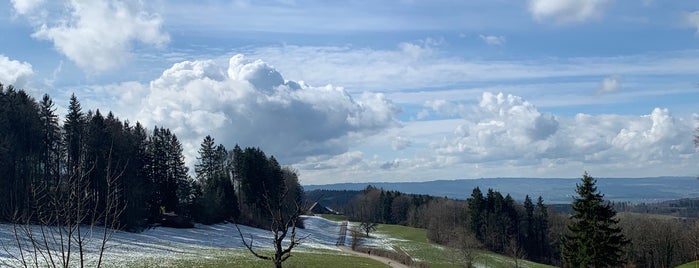 Panorama-Restaurant Felsenegg is one of Orte, die YASS gefallen.