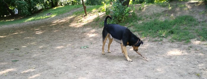 Hundezone Hebbelpark is one of Hundezonen Wien.