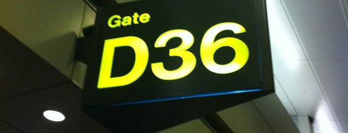 Gate D36 is one of SIN Airport Gates.