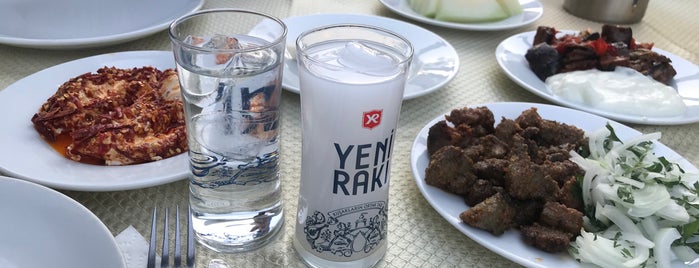Çağlayan Et ve Balık Lokantası is one of MEYHANELER/BALIKLOKANTALARI.
