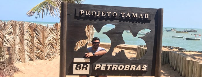 Projeto Tamar is one of สถานที่ที่ Carla ถูกใจ.