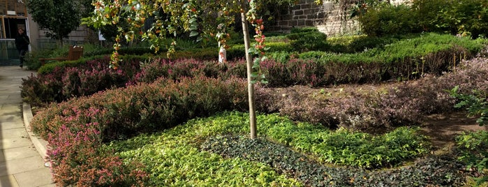 The Archivists' Garden is one of Edinburgh.