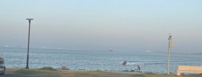 Al Maha Island is one of QTR 🇶🇦.