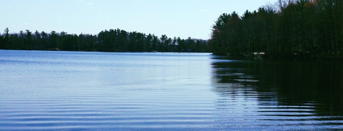 The Fork at Twin Lakes is one of Near Narrowsburg.