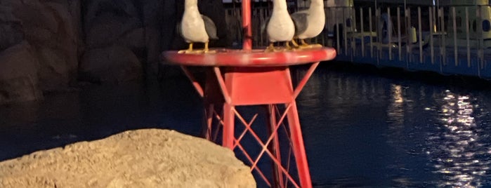 Mine Seagulls is one of US TRAVELS ANAHEIM.