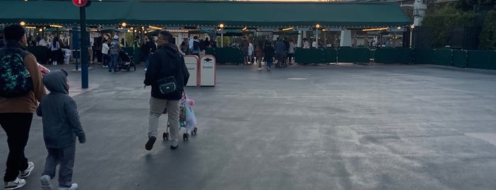 Disneyland Security Gates is one of Disney 2021 SGV/OC.