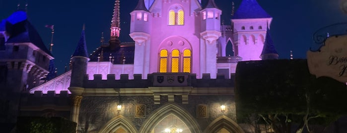 Sleeping Beauty Castle is one of Theme Parks.