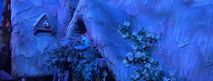 Snow White's Enchanted Wish is one of Disneyland Fun!!!.