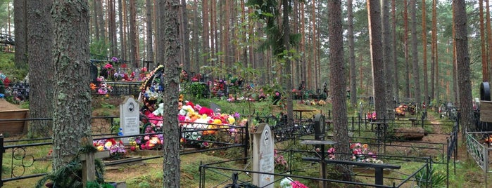 Шугозерское кладбище is one of Кладбища Санкт-Петербурга и окрестностей.
