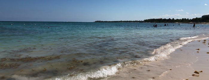 Playa Akumal is one of Lieux qui ont plu à Francisco.