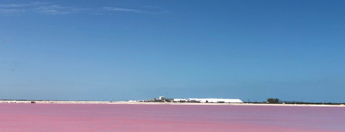 Las Coloradas is one of Francisco’s Liked Places.