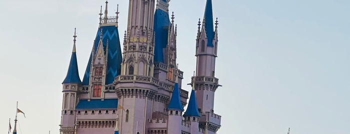 Tomorrowland Terrace Restaurant is one of Disney.