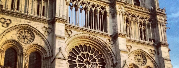 Cattedrale di Notre-Dame is one of You have to see this.