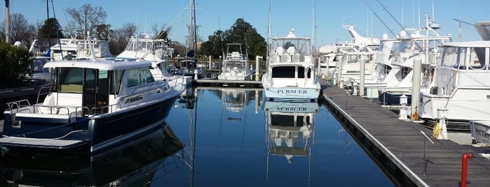 Bluewater Marina is one of Marinas/Boat Shows.