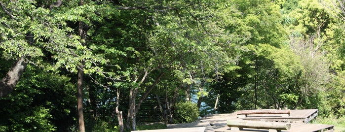 Mitsuike Park is one of All-time favorites in Japan.