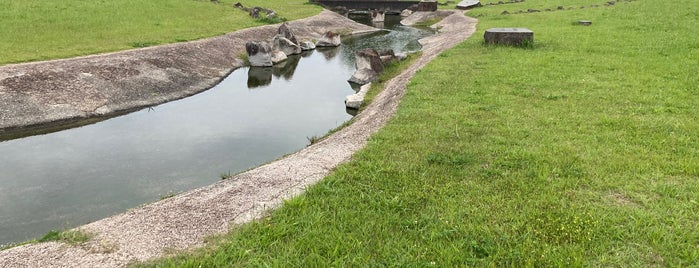多摩川親水公園 is one of 多摩川.