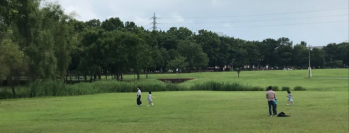 大宮第三公園 is one of 埼玉で子供と遊ぶ.