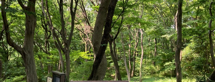 Site of Ozawa Castle is one of 稲田堤駅 | おきゃくやマップ.