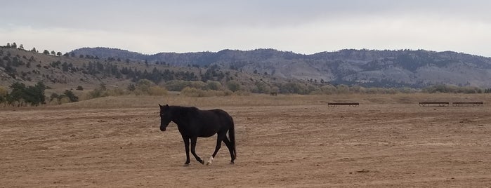 Black Hills Wild Horse Sanctuary is one of usa roadtrip.