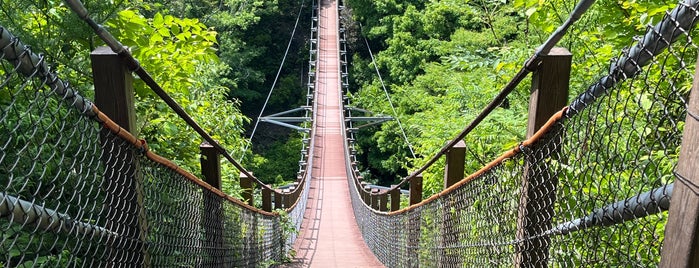 宮沢橋 is one of 静岡県の吊橋.
