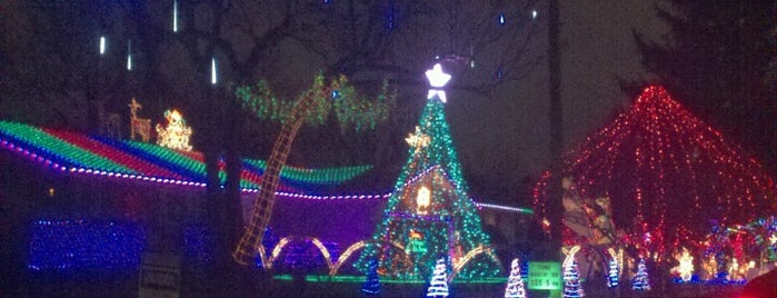Bagwell Christmas Lights is one of Fun Places.