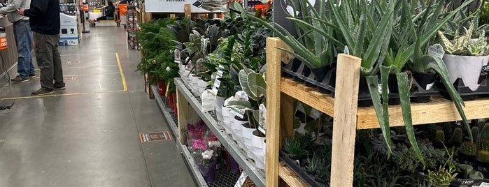The Home Depot is one of FAVORITE PLACES!!!!!!!  <3.