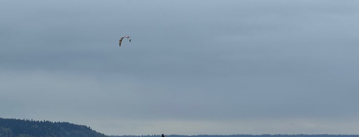 Double Bluff Beach is one of Whidbey Island, WA.