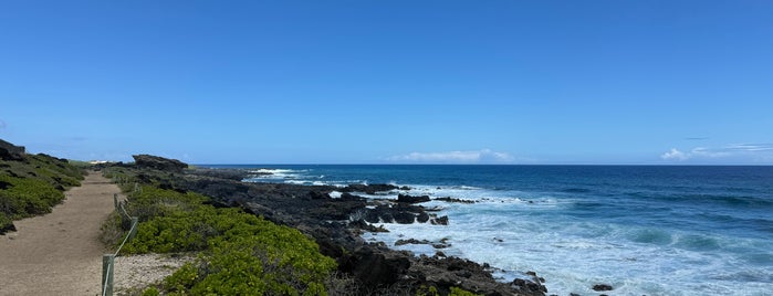 Ka‘ena Point State Park is one of Hawai'i.