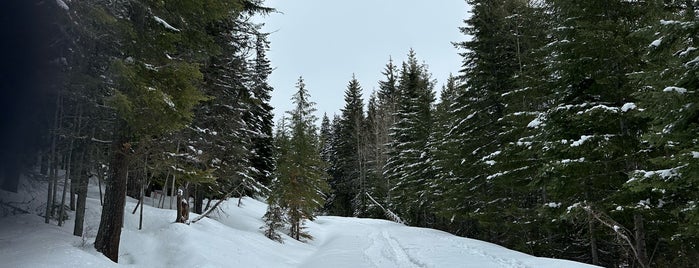 Hyak is one of Ski Areas.