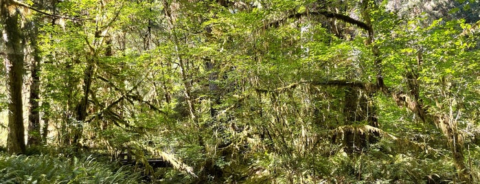 Spruce Nature Trail is one of WA.