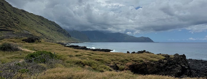 Kaena Point is one of Hawai'i Essentials.