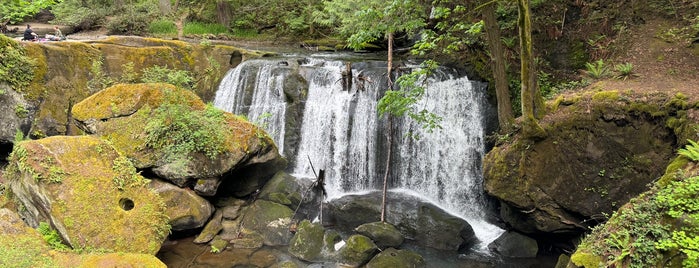 Whatcom Falls Park is one of A local’s guide: 48 hours in Bellingham, WA.