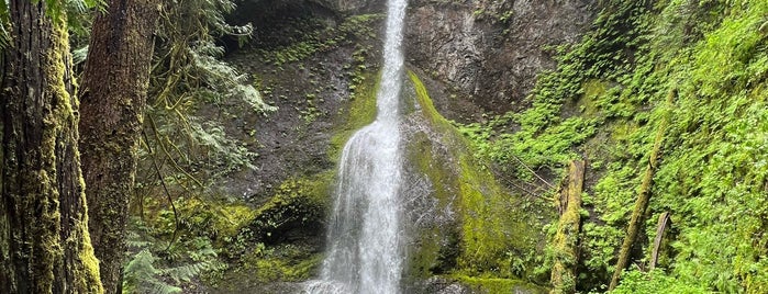 Merrymere Falls Trail is one of Olympic National Park.