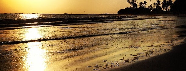 Morjim Beach is one of Goa.