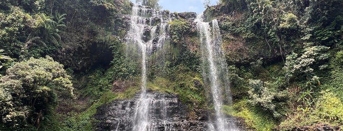 ນ້ຳຕົກ ຕາດເຢືອງ (Tad Gneuang Waterfall) is one of Laos.