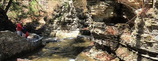 Buttermilk Falls is one of Fingerlakes.